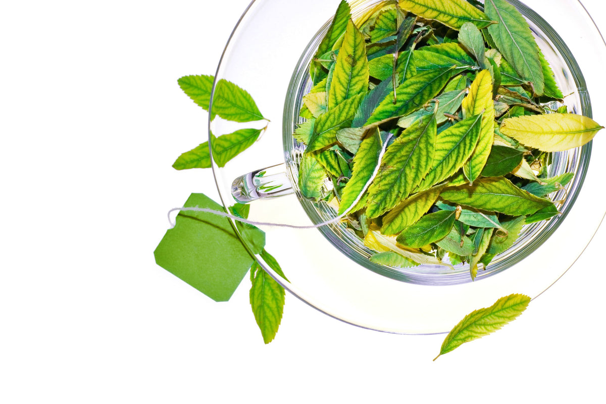 what-are-polyphenols-is-green-tea-good-for-you-life-energy-vitamins